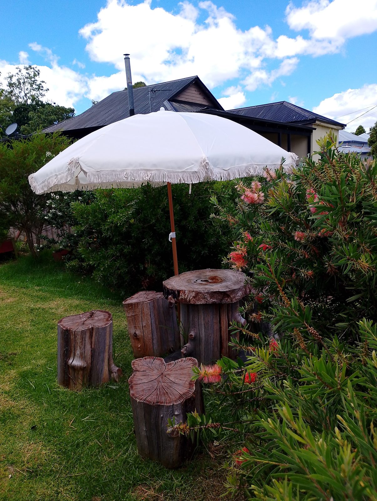Tree stump table and stools under a white umbrella, with bottlebrush in flower